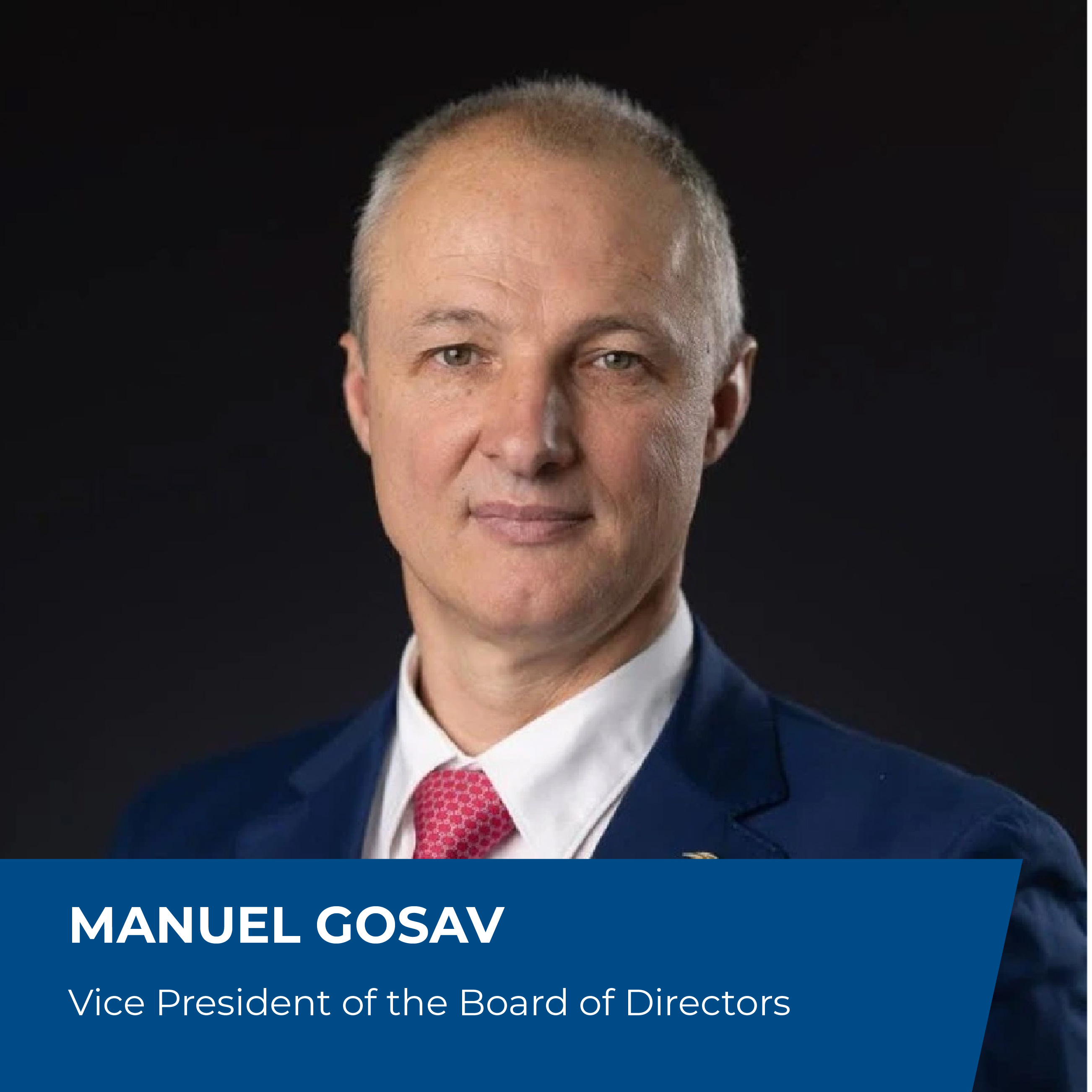 Manuel Gosav Vice President Electroalfa